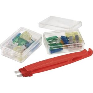 Caja 21 fusibles + pinza